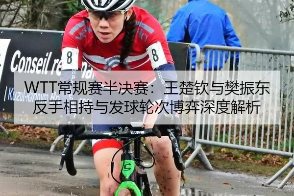 WTT常规赛半决赛：王楚钦与樊振东反手相持与发球轮次博弈深度解析